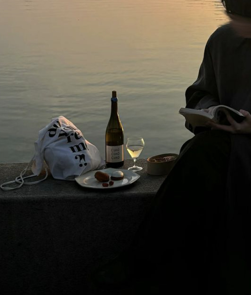 Il Piemonte Dove il Vino Diventa Esperienza e Non Solo Degustazione