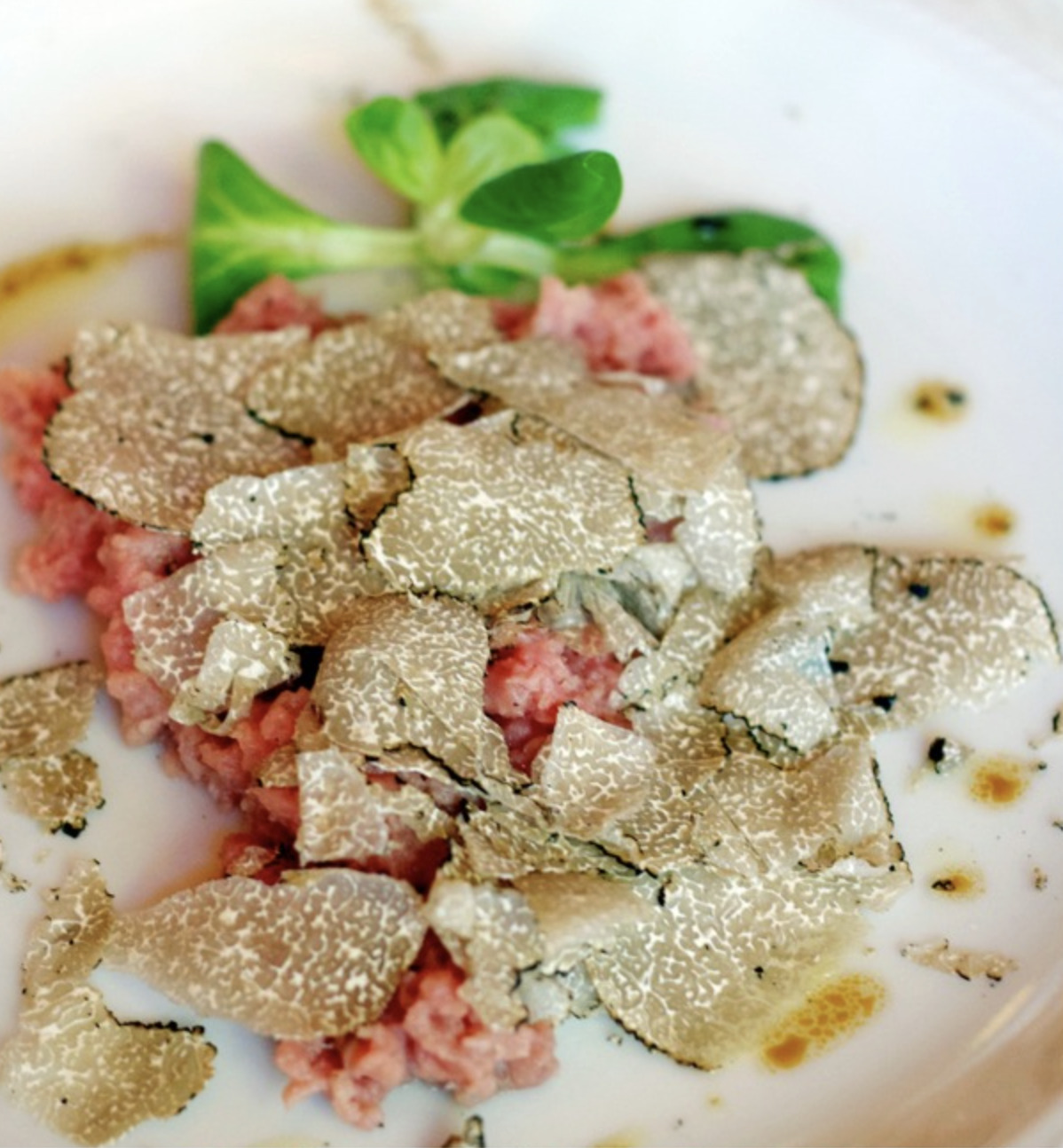 Langhe e Roero tra vino tartufi e tradizioni del Piemonte